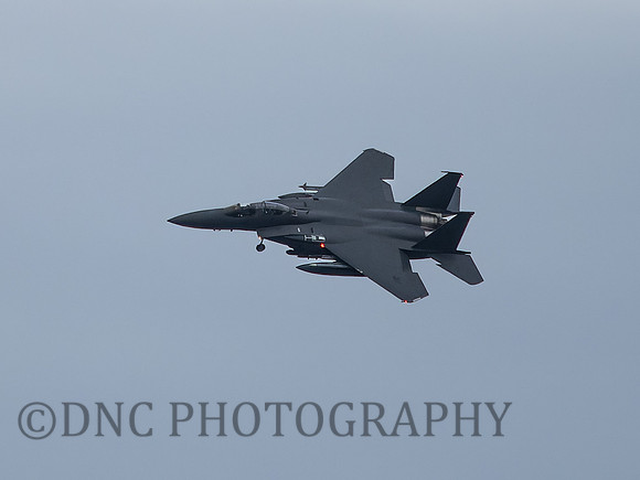 F-15E Strike Eagle LN AF 91-310