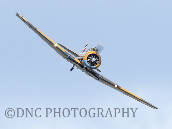 North American Harvard T-6G AJ841 Wacky Rabbit .4