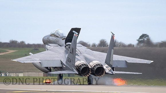 F-15E Strike Eagle LN AF 91-604