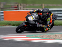 STK Andrew Williams - Standard Signs Racing Honda CBR1000RR-R