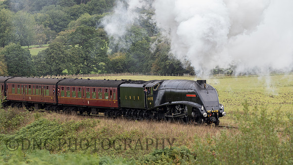 LNER A4 4498 Sir Nigel Gresley approaching Moorgates