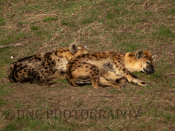 Enjoying the sun