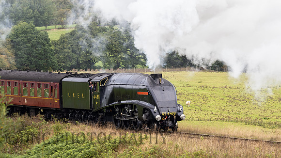 LNER A4 4498 Sir Nigel Gresley approaching Moorgates 22nd Sept