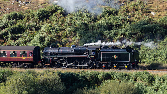 BR Std 5 73156 banking 4498.