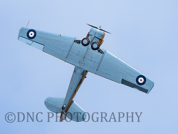 North American Harvard T-6G AJ841 Wacky Rabbit .5
