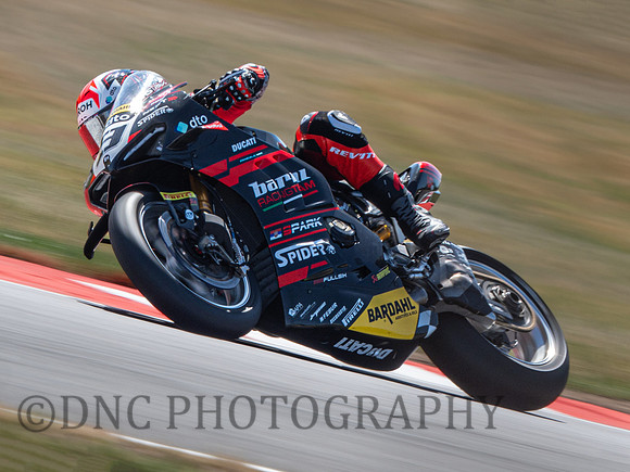 Danilo Petrucci BARNI Spark Racing Team Ducati Panigale V4R