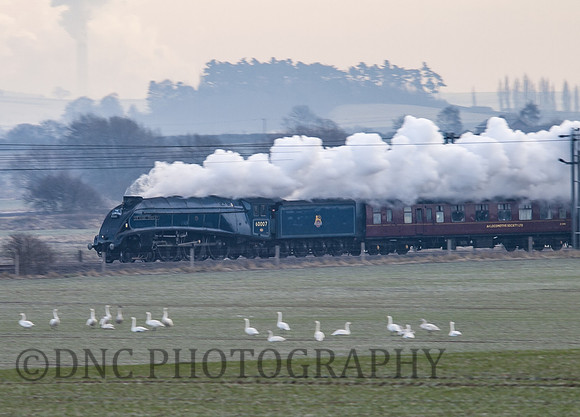 A4 60007 Sir Nigel Gresley 'The Tynesider' speeds towards Bawtry 18-12-2010