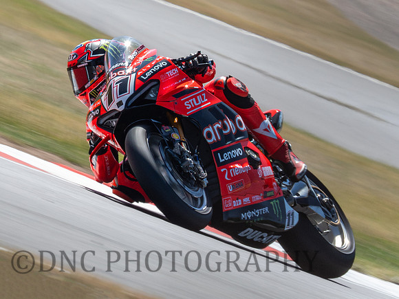 Nicola Bulega ARUBA.IT Racing - Ducati Panigale V4R