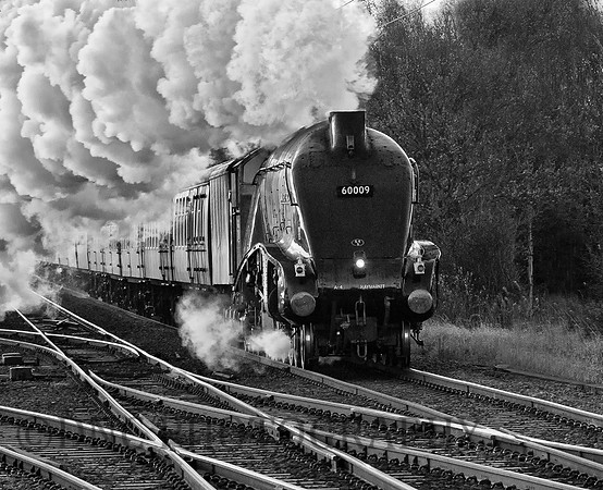 A4 60009 Union of South Africa 'The Christmas White Rose' 01-12-12