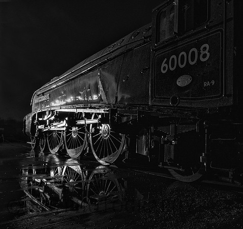 Mallard 75 The Great Gathering