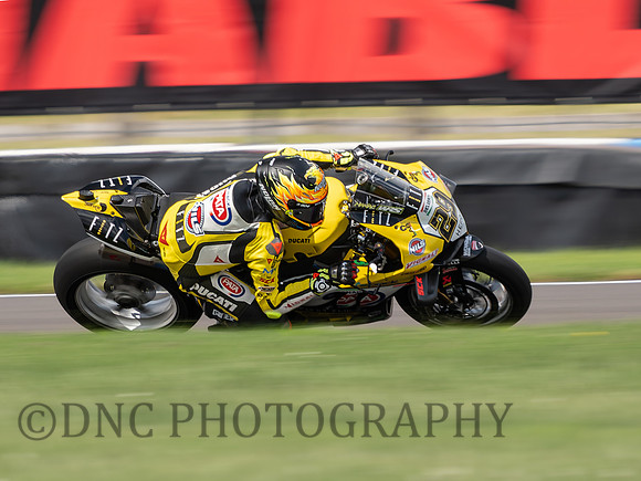 Andrea Iannone Team GoEleven Ducati Panigale V4R