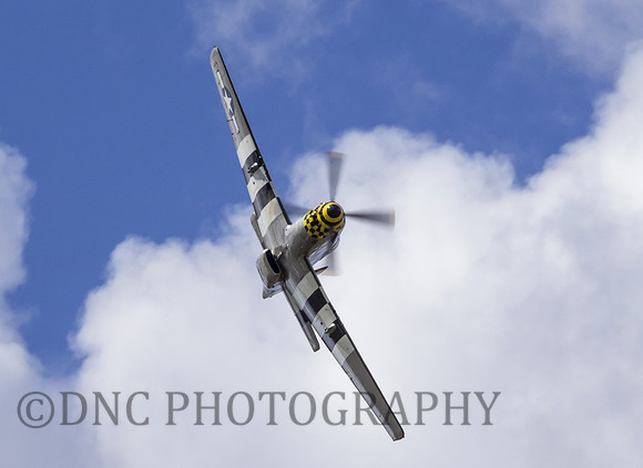 P51D Mustang "Janie"