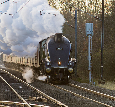 A4 60009 Union of South Africa 'The Christmas White Rose' 01-12-12