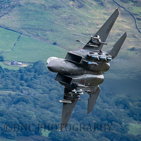 USAF F-15E Strike Eagle LN AF 91 0316 Cad East 11th August