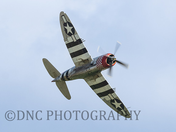 Republic P-47D Thunderbolt Nellie 549192