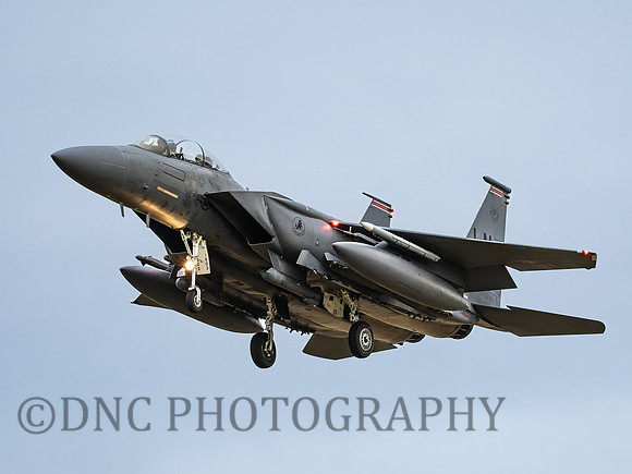 F-15E Strike Eagle LN AF 91-603