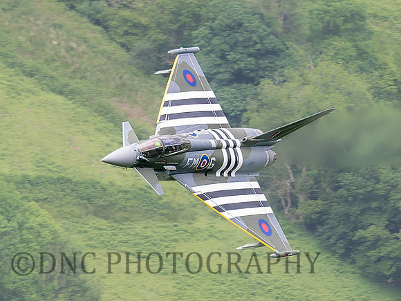 Typhoon FGR4 ZJ913 Moggy