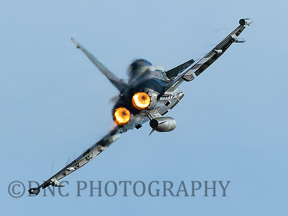 Typhoon FGR4 ZJ913 Moggy .1