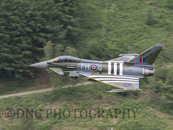 Typhoon FGR4 ZJ913 Moggy