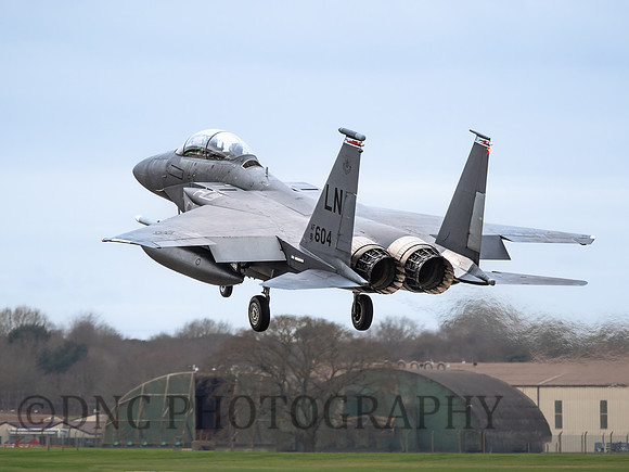 F-15E Strike Eagle LN AF 91-604