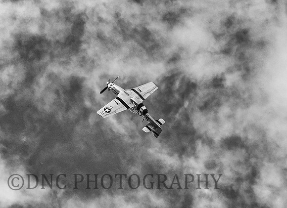P51D "Marinell"