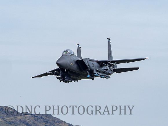 USAF F-15E Strike Eagle LN AF 91 0316 Cad East 11th August