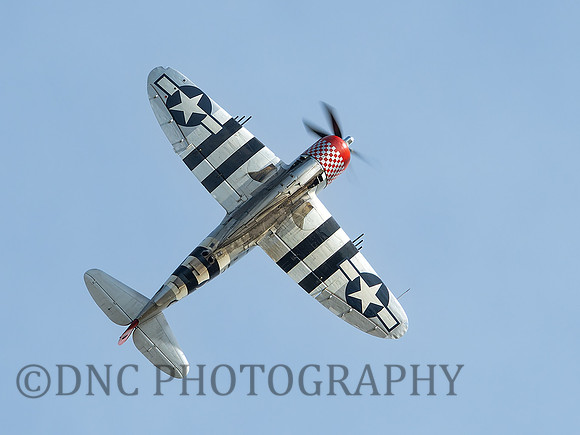 Republic P-47D Thunderbolt Nellie .1