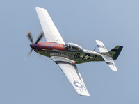 P-51D Mustang 415152 Jersey Jerk .1