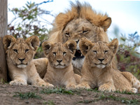 Yorkshire Wildlife Park August 2025