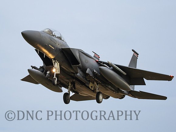 F-15E Strike Eagle LN AF 91-602