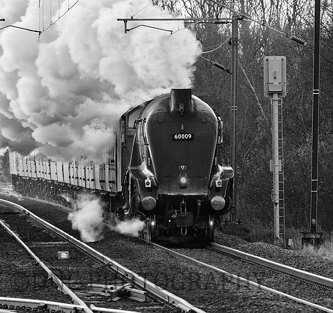 A4 60009 Union of South Africa 'The Christmas White Rose' 01-12-12