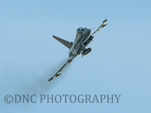 Typhoon FGR4 ZJ913 Moggy .2