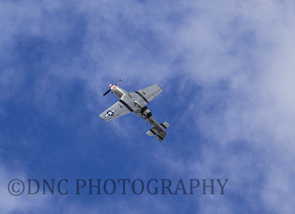 P51D "Marinell"