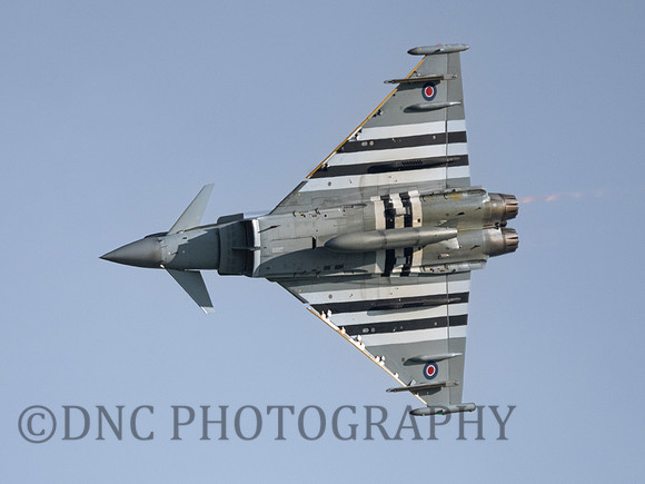 TYphoon FGR4 ZJ913 Moggy