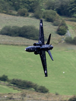 BAe Hawk T2 ZK018 Cad East 11th August