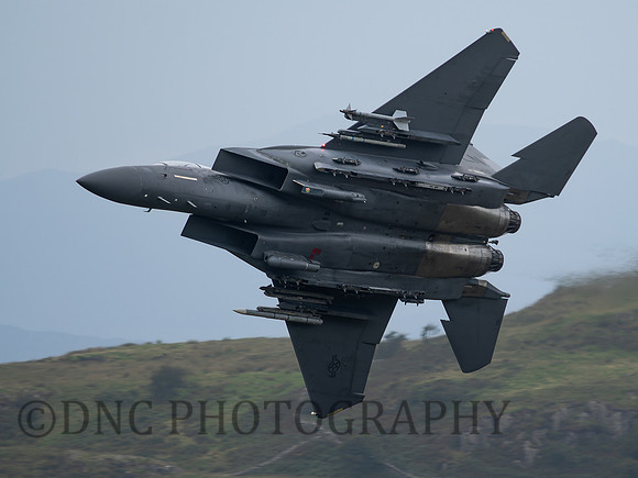 USAF F-15E Strike Eagle LN AF 91 0316 .3