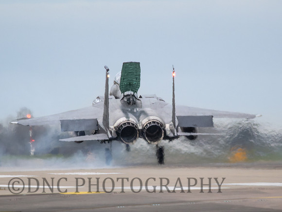 F-15E Strike Eagle LN AF 91-310