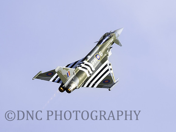 TYphoon FGR4 ZJ913 Moggy