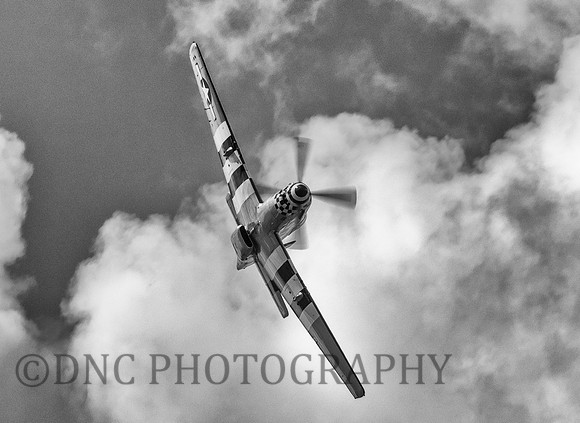 P51D Mustang "Janie"