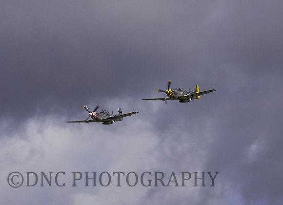 P51D Mustangs