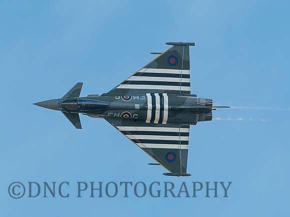 Typhoon FGR4 ZJ913 Moggy .3