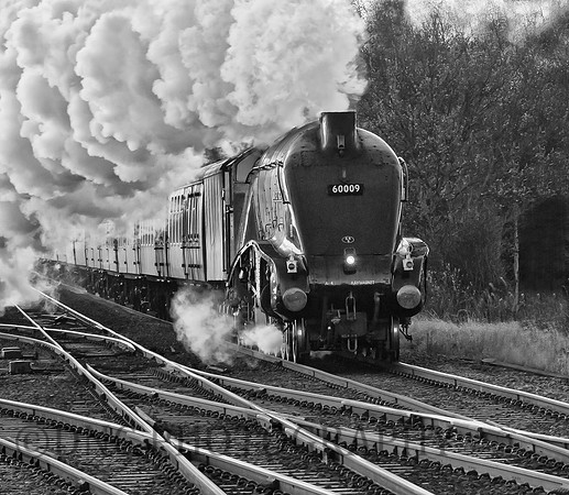 A4 60009 Union of South Africa 'The Christmas White Rose' 01-12-12
